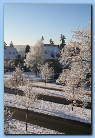 Arnhem Snow 108